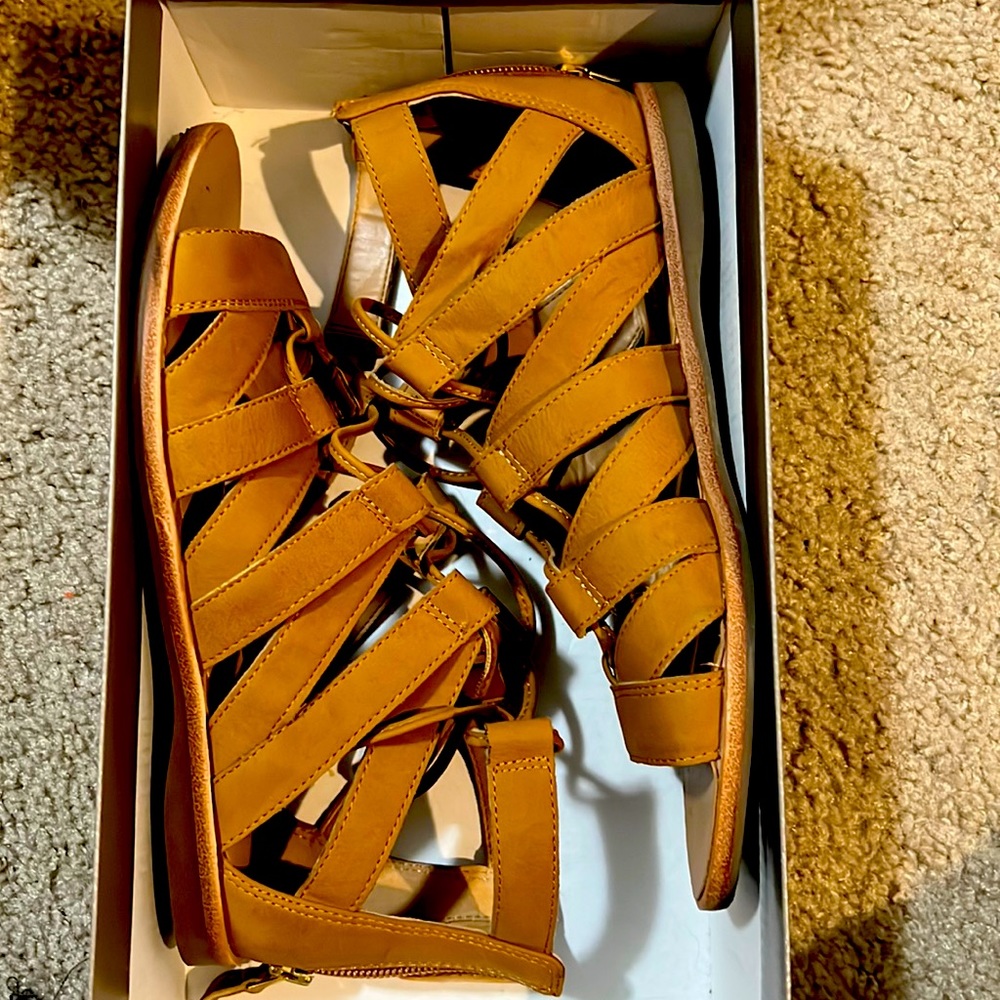 FrancoSarto size 5.5 tan gladiator sandals. Very good condition.